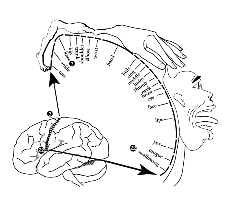 Illustration for article titled Wait, Whose Leg Is That?